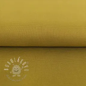 CANVAS curry